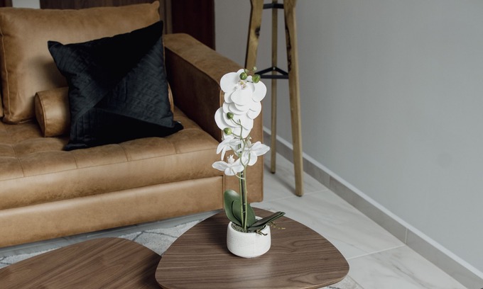 Coyoacan Apartment | Punto Lofts Periférico Sur