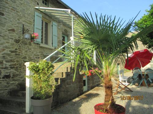 Beynat House | Pura Vida