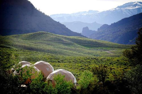 Wapiti Other | Pure Heart Retreat