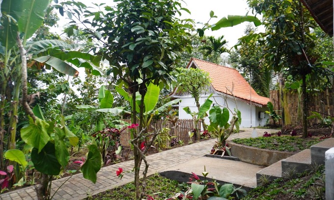 Banyuwangi Hotel | Purwa Ijen