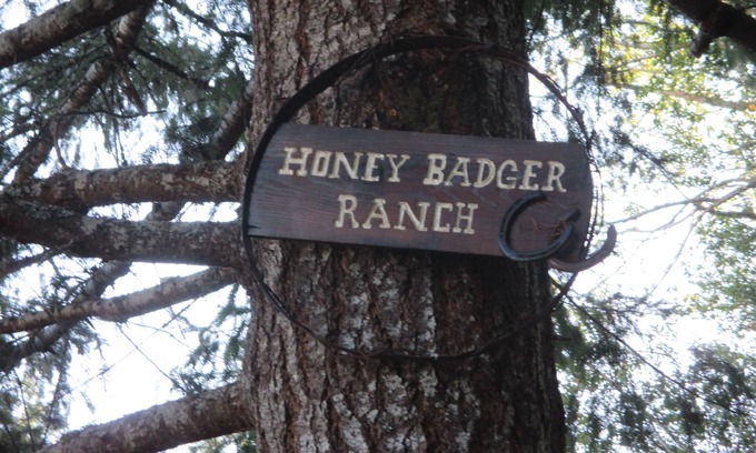 Powers Cabin | Quiet 1 bedroom cabin located on the South Fork of the Coquille River