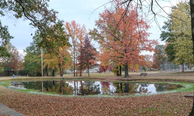 Clarksville House | Quiet, 4-bed home with a park view.
