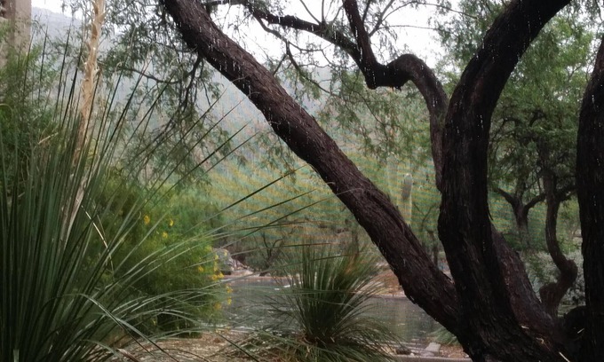 Tucson Condo | Quiet comfort in the desert foothills. Perfect hiking area.