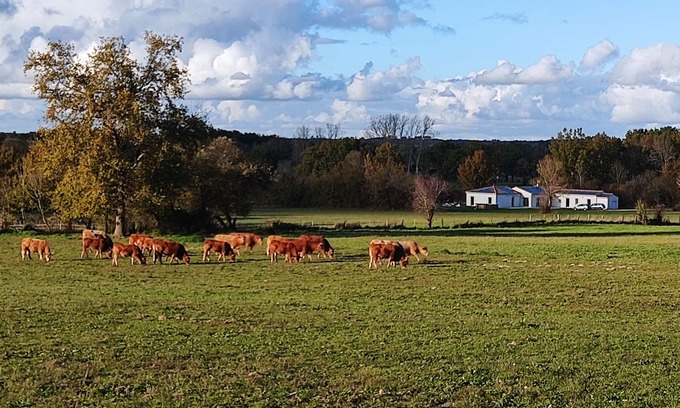 Saint-Savin House | QUIET COUNTRY HOUSE