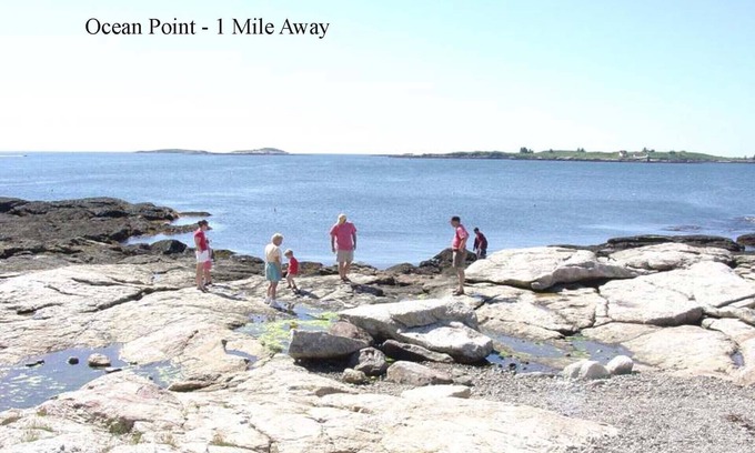 East Boothbay Cottage | Quiet family and pet friendly home