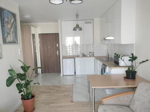 Krowodrza Apartment | Quiet in the City Wrocławska