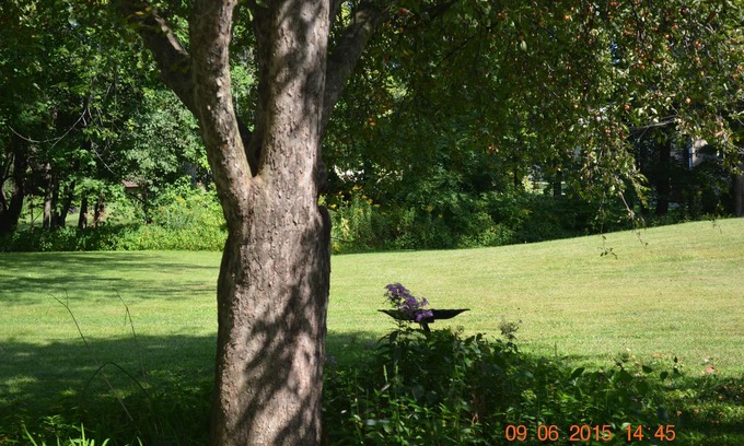 South Deerfield Apartment | Quiet Neighborhood, For Bird Lovers