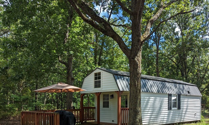 Yukon Cabin | Quiet, secluded tiny house that sleeps 6 +