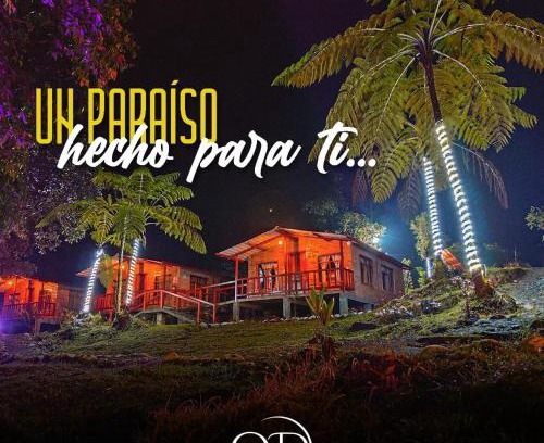 Ecuadorian Amazon Cabin | Quindanna Lodge