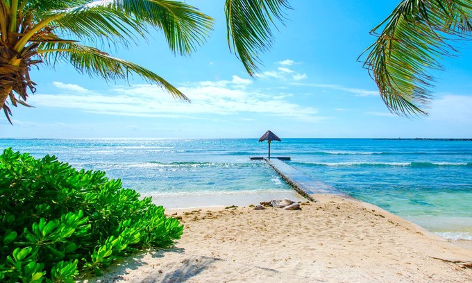 Puerto Aventuras Condo | Quinta Maya | 1BR | Studio| Puerto Aventuras