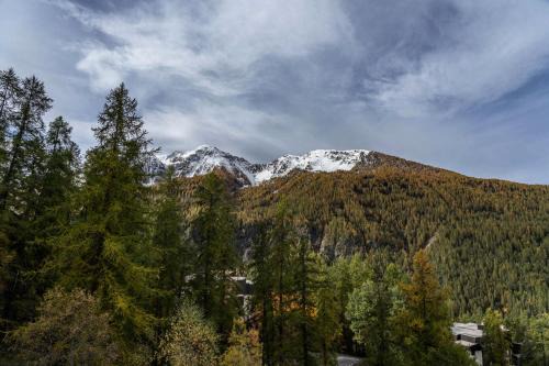 Les Orres Apartment | Résidence Les Ecrins - Studio au calme vue sur la forêt de Mélèzes 1650 MAE-9594