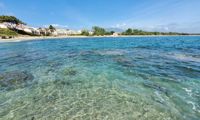Bravone Apartment | Résidence Marina Di Bravone