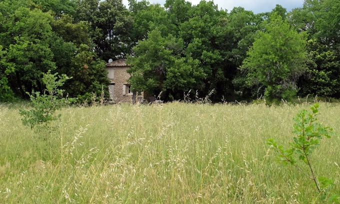 Gordes Cottage | RABASSO: pretty shed in the middle of nature.