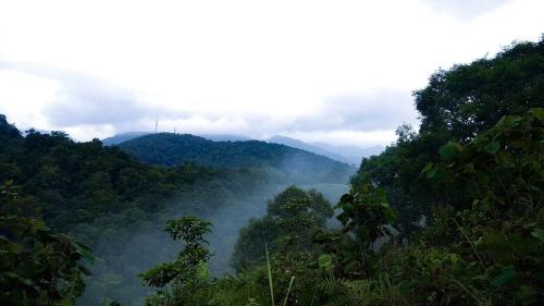 Lakkidi Resort | Rain Country Jungle Resort