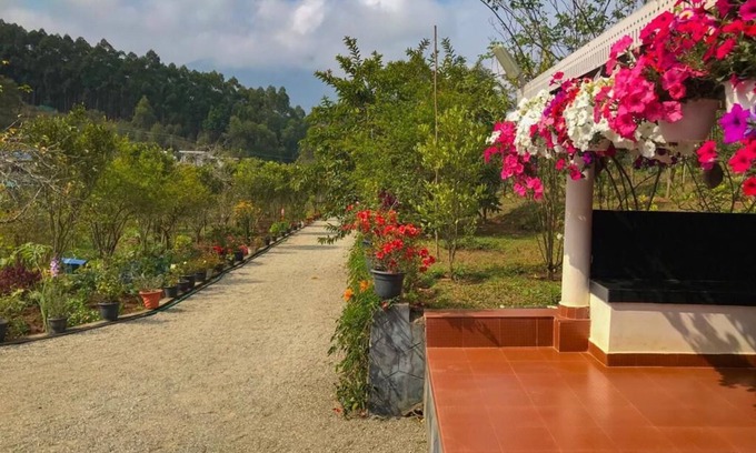 Devikolam Other | Rain Forest Kanthalloor Orchard