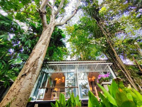 Kaeng Sopha Resort | Rain Forest Resort