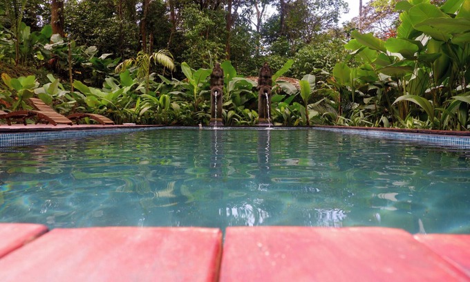 Palma Quemada Cabin | Rainbow Lodge Costa Rica – Jungle Retreat Near Playa Linda with Pool & Yoga Deck