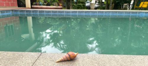 Alibaug Villa | Raj Villa Resort