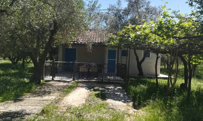 Ulcinj House | Rajana bungalow 2(Olive House)