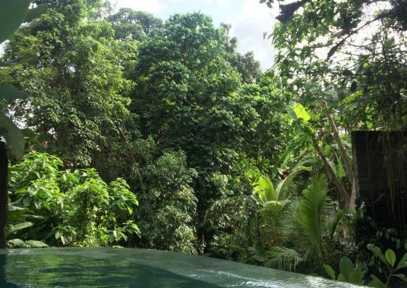 Ubud City-Centre House | Raka Rai Bungalows