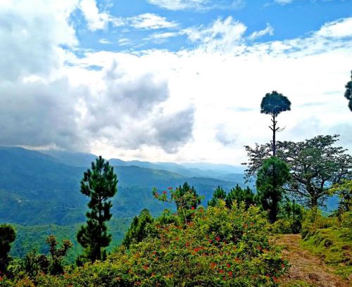 Lansdowne House | Rameshwari Homestay