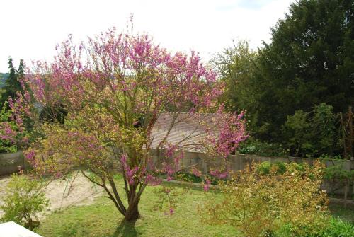 Giverny House | Ramier