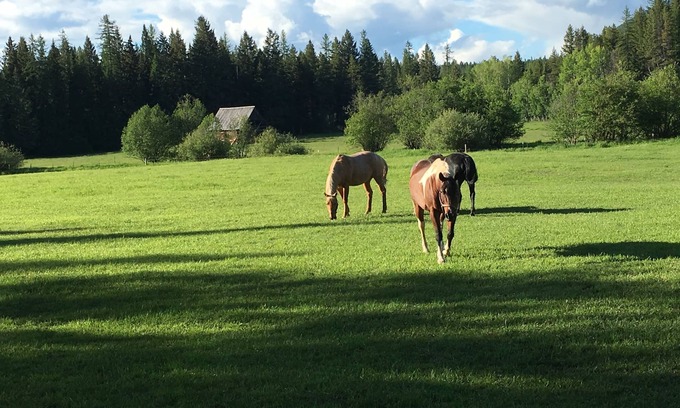 Martin City House | Ranch close to Glacier; open views/mtns/meadows/creek/trails; wildlife; barns