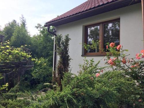 Raciechowice Cabin | Ranczo Dziki Sad