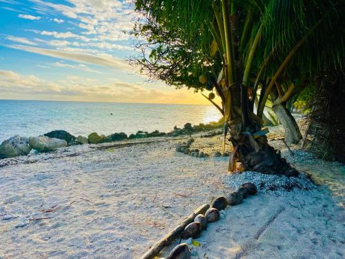 Rangiroa House | Rangiroa Beach House