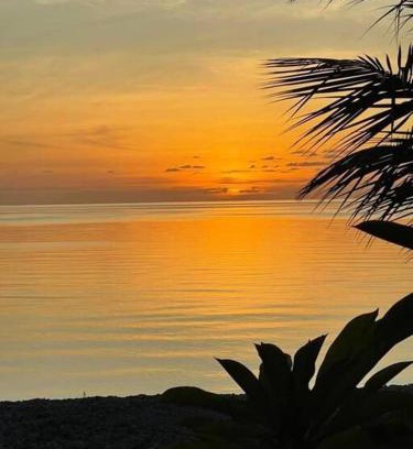 Rangiroa Ski Chalet | Rangiroa Sunny House