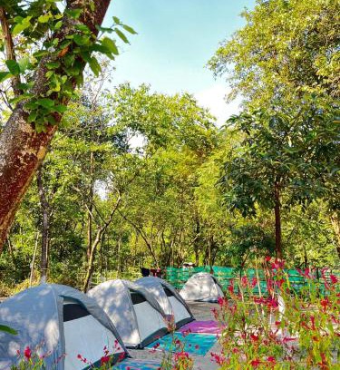 Laitmawsiang Other | Rapsyngkremcampsite