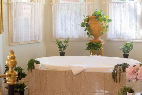 Golden Point House | Rapunzels Cottage 1br Fairytale Studio Stay