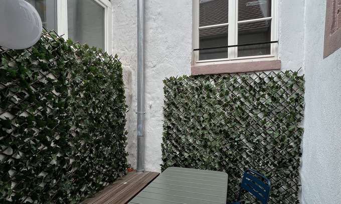 Haguenau Apartment | ❤️️ Rare appt ❤️️ Hyper center ❤️️ Private terrace