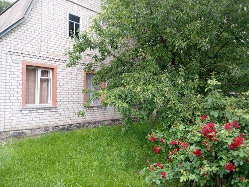 Dobrovelychkivka House | Ratusha Hall Zazymje