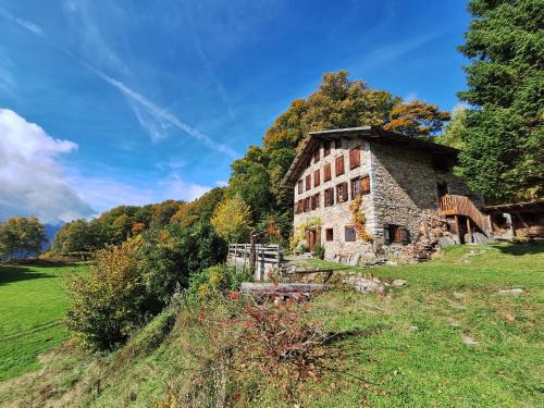 Reichenbach Apartment | Rauft-Perfekter Rückzugsort für besondere Feierlichkeiten 2500 m2 Grundstück mitten in der Natur