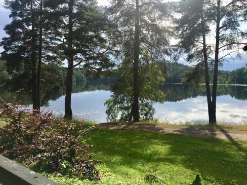 Mikkeli Apartment | Rauhallinen kaksio Urpolassa