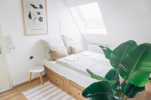 Straubing Apartment | raum life - Refugium über Dächer