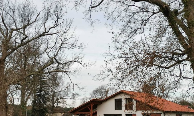 Mimizan House | Recent Landes house between forest and ocean in the heart of nature but not isolated