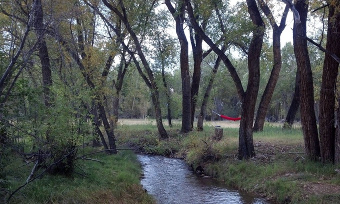Buena Vista House | Recently renovated 2252 SF Log Home on 15 acres, 5 creeks, 3 Ponds, Mt Views