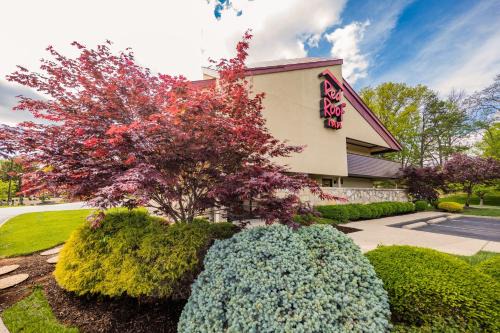 Blue Ash Hotel | Red Roof Inn Cincinnati Northeast - Blue Ash