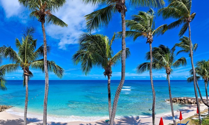 Reeds Bay Condo | Reeds House 12 (2/3 Rooms)