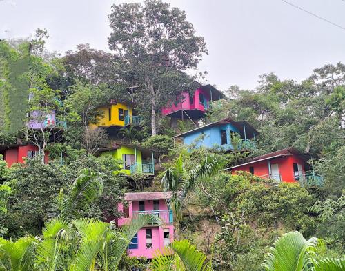 Moyobamba Cabin | Refugio Ecolodge Shapingo