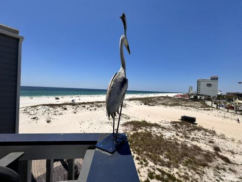 Gulf Shores House | Regatta
