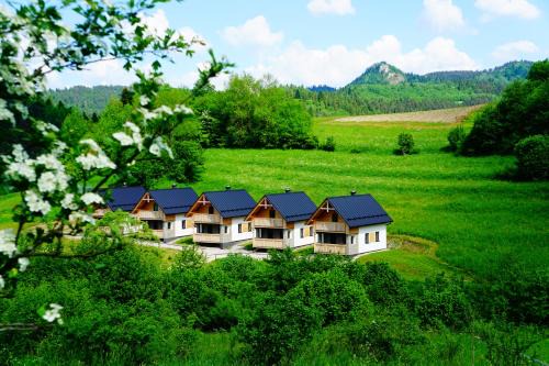Lesnica Cabin | Rekreačna usadlosť Pieninka