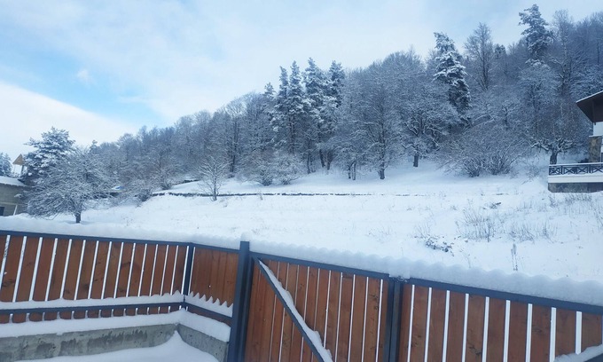 Bakuriani Villa | RELAX AND ENJOY AT VILLA BAYERN IN BAKURIANI