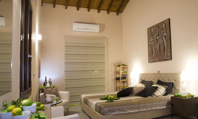 Neo Chorio Villa | Relax and enjoy in harmony with nature!