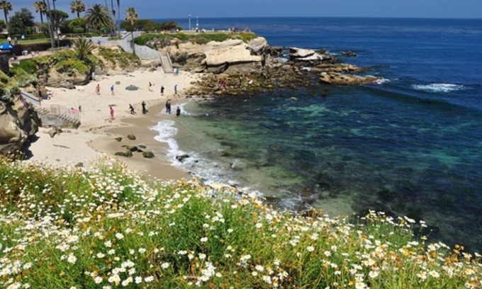 Village of La Jolla House | Relax and Recharge! 4 Pet-Friendly Units, On-Site Restaurant, Near Wipeout Beach