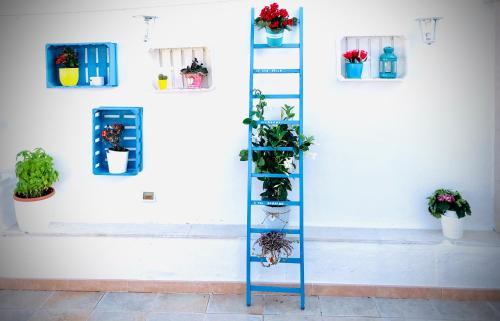 Municipio 1 House | Relax House