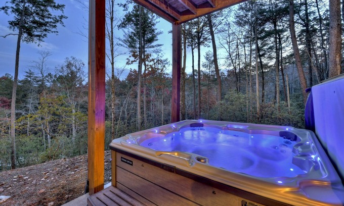 Blue Ridge Cabin | Relax in private rustic luxury! - A Starry Night
