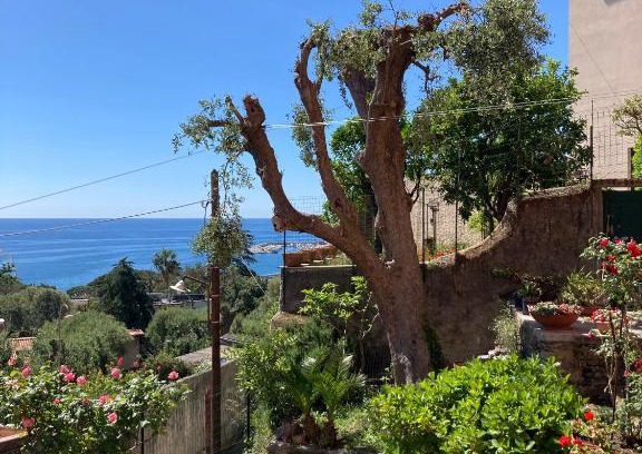 Arenzano House | Relax